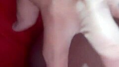 casada chupando meu cu completo no red