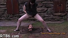 Sadomasochism serf collar.