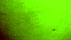 em nhung shows off her stunning vietnamese charm in subtle ways.