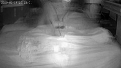 big black guy fucks paty in leader's room to avoid nomination