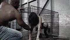 caged gabriella paltrova gives sloppy bbc blowjob