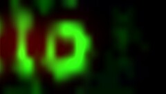 asian girl with small tits plays forbidden dojo