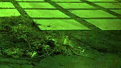 i bound that teen 18+ too rough, but she loves it