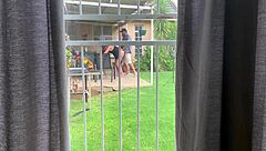 Caught my neighbors fucking in the backyard? Fingering, creampie, and flashing pussy!