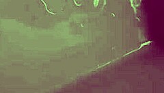 i peed in the hotel sink last night