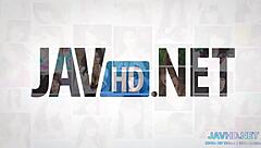 Hd Compilation Of Asian Milf And Amateur Scenes