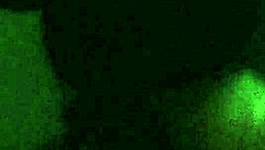 Lesha deepthroats like a slut?