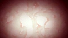 hentai anime japanese asian bold action scenes