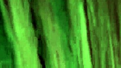 my stepdaughter with big ass cleans kitchen in sexy shorts