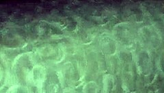 Puta Do Paraná - Cris Casada Na Rola Grossa Gritando Corno Filma