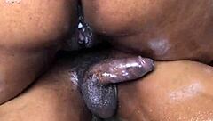 Ebony Rides Black Dick Hard