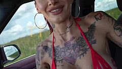 Alby The Goat Picked Up On Side Of The Road July 4th Teddy Tarantino