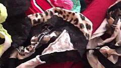 can’t resist sneaking through wife’s sexy thong while she’s at work.