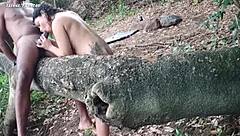 Couple Having Sex Outdoors Almost Caught Gets Load Of Cum