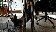 In the bustling office, a playful shoeplay moment captures attention