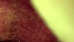 Intimate POV footage of a natural-bodied wife getting passionately penetrated by her husband