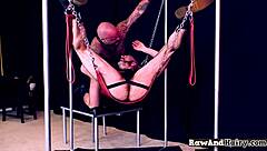 polar bear buttfucking tight gay ass