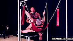 polar bear buttfucking tight gay ass