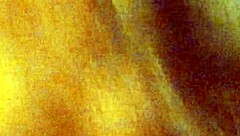 can you handle the best blowjob on big cock?