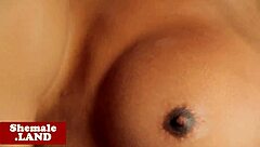 Tattooed Transsexual Feels Intense Pleasure From BBC