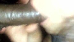 Cum Lover Enjoys Every Drop In Suggestive Encounters