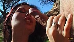 i find lost english girl in fields