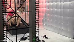 Exotic blonde Ash Hollywood strips and rides in California fantasy