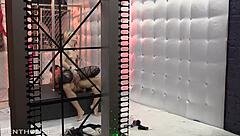 Exotic blonde Ash Hollywood strips and rides in California fantasy