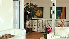 Skinny brunette gets her pussy licked before sucking and banging hard