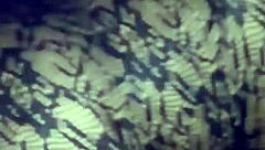 pussy jacking off only