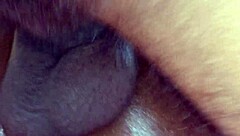 hanif pk and sumona horny deshi ebony babe sucks black dick and rides it hard