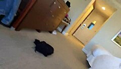 Sloppy blowjob with buttplug