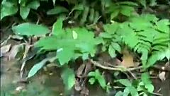 We entered a trail to have an orgy on the beach