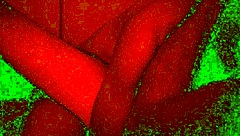 Great pervert action with natural tits and rough sex