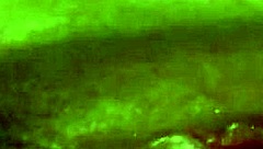 i love swallowing his cum