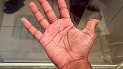 why does fernanda love joão's big black cock in her ass?