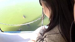 premium full version available now