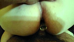 chubby fox starts the morning with homemade activities